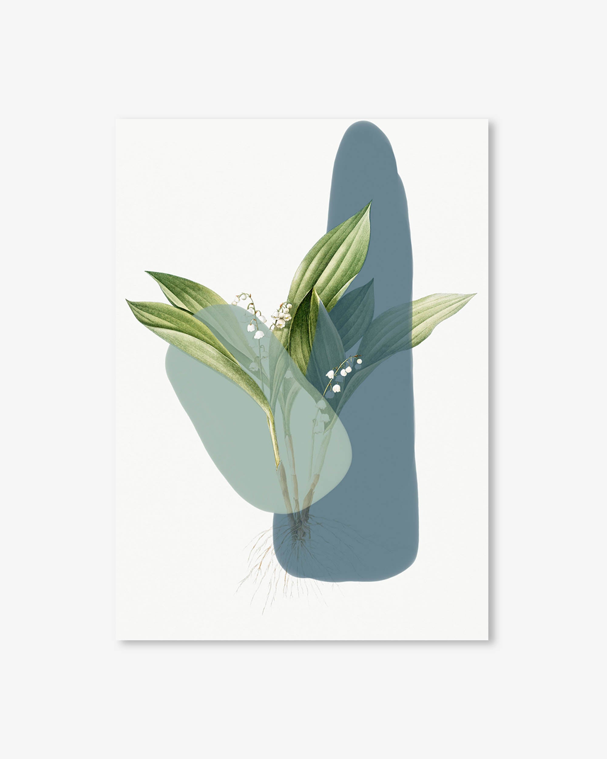 Modern Botanical Abstract Art Print