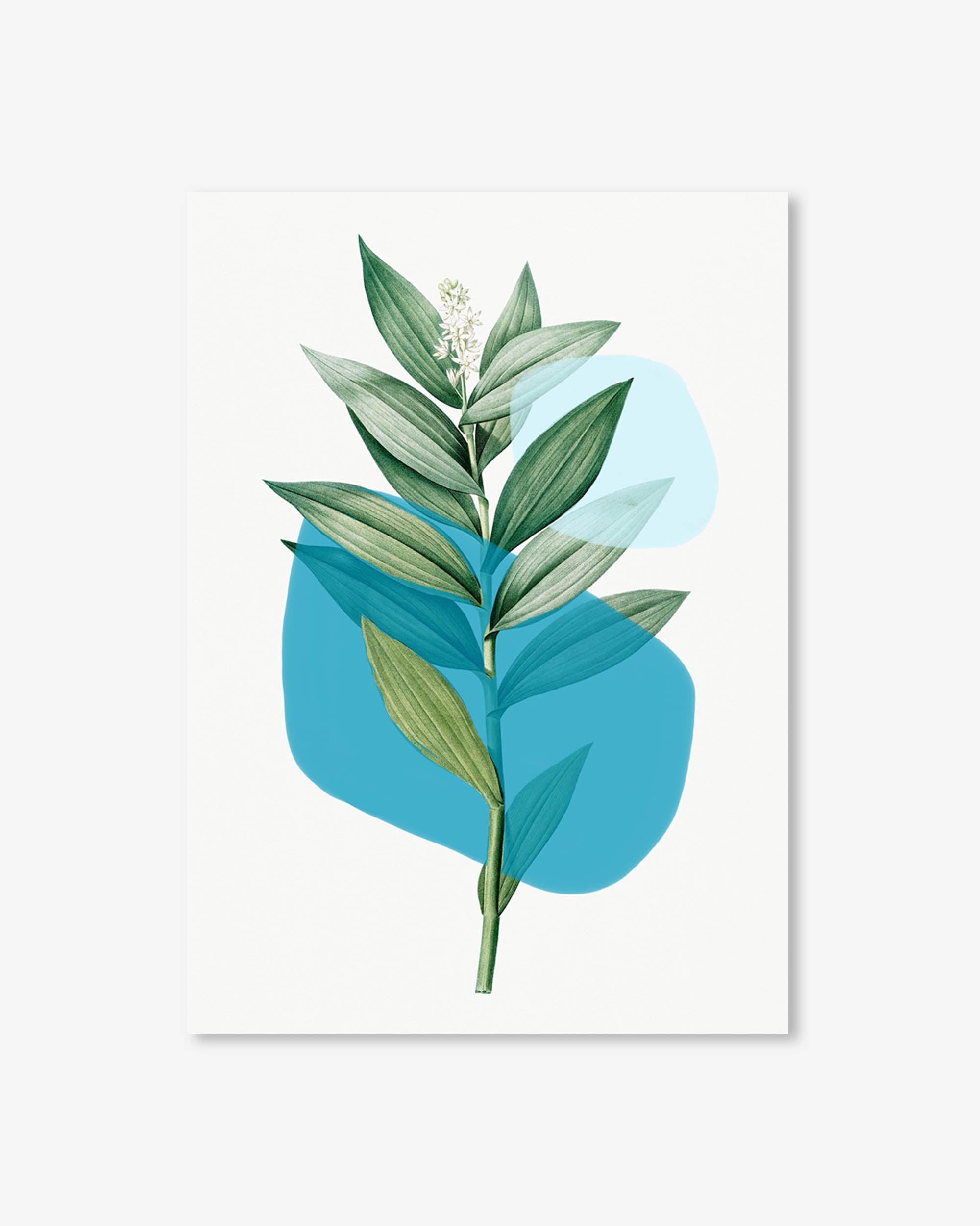 Botanical Leaf With Abstract Shapes Art Print