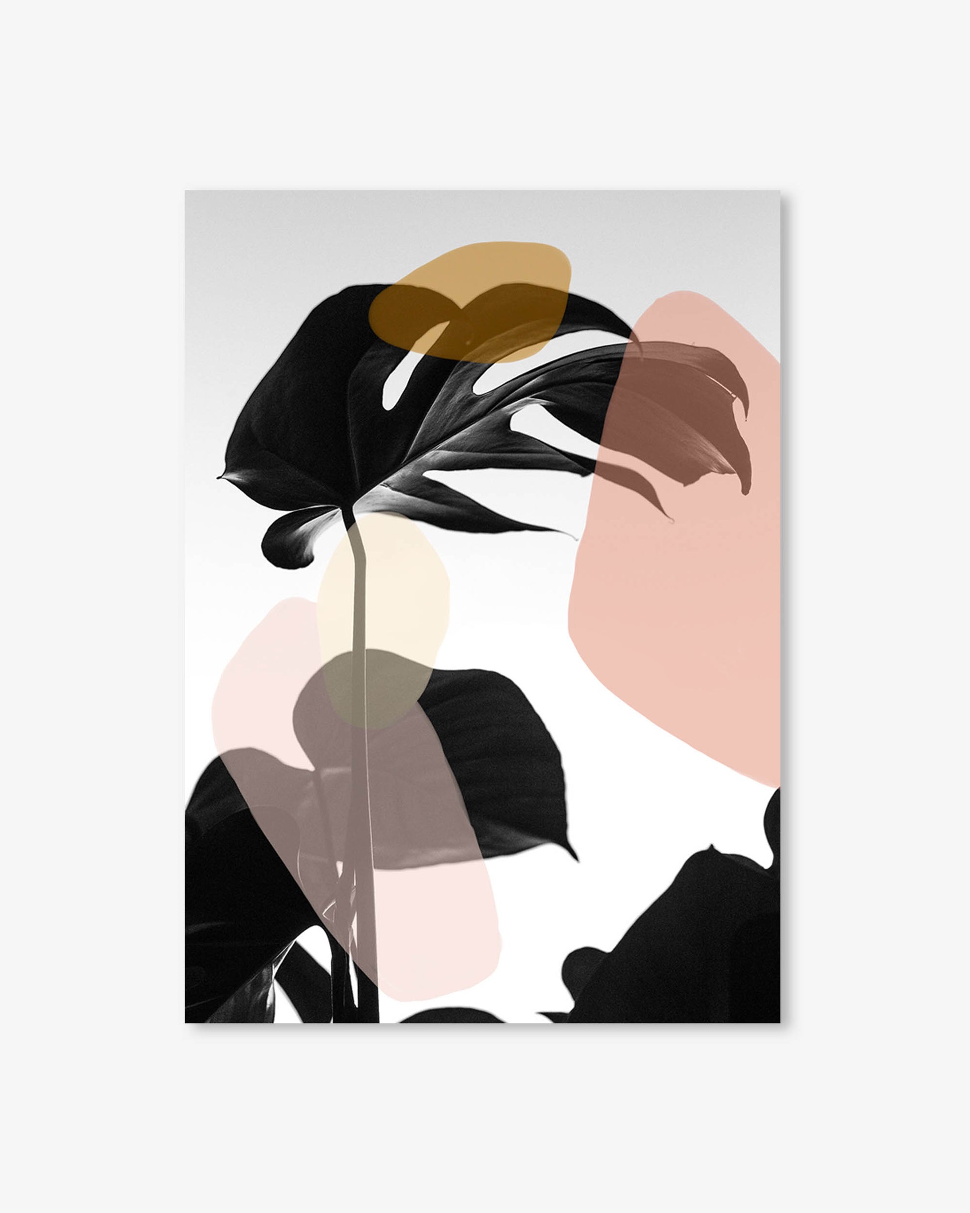 Abstract art print with black leaves and colorful shapes on a light gray background