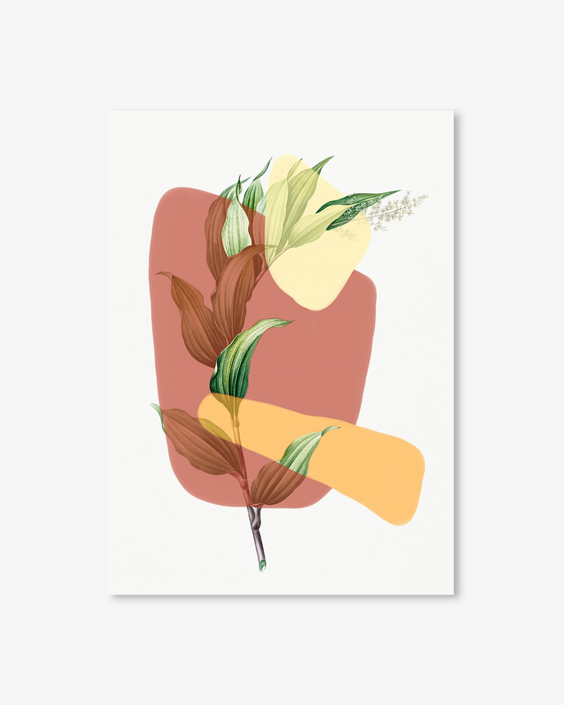 Art print with abstract shapes and leaves on a white background