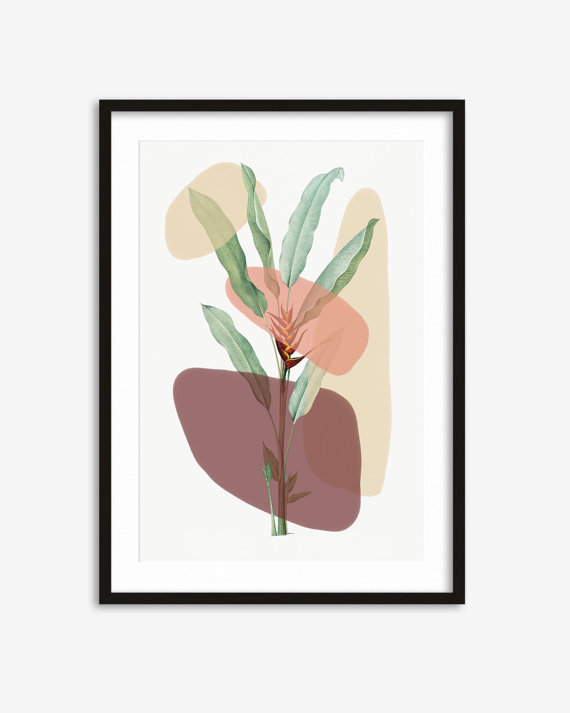 Framed artwork with abstract plant design on a white background