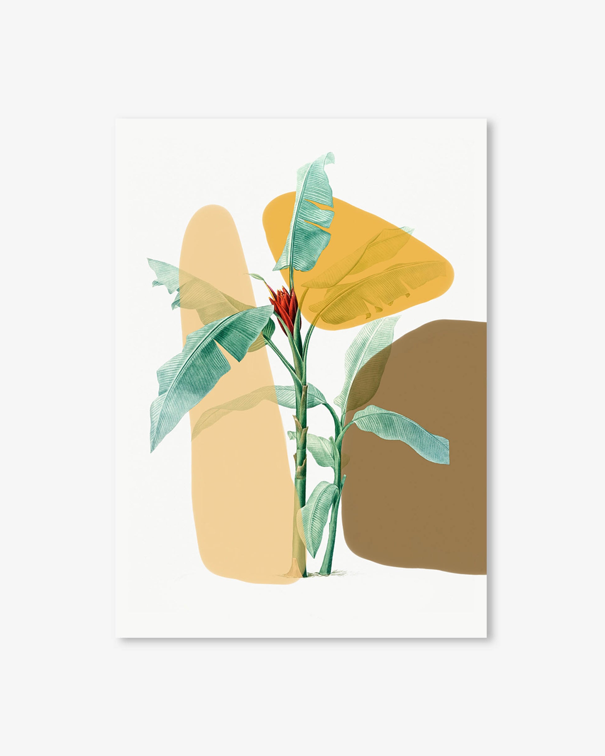 Abstract art print with geometric shapes and plant elements on a white background