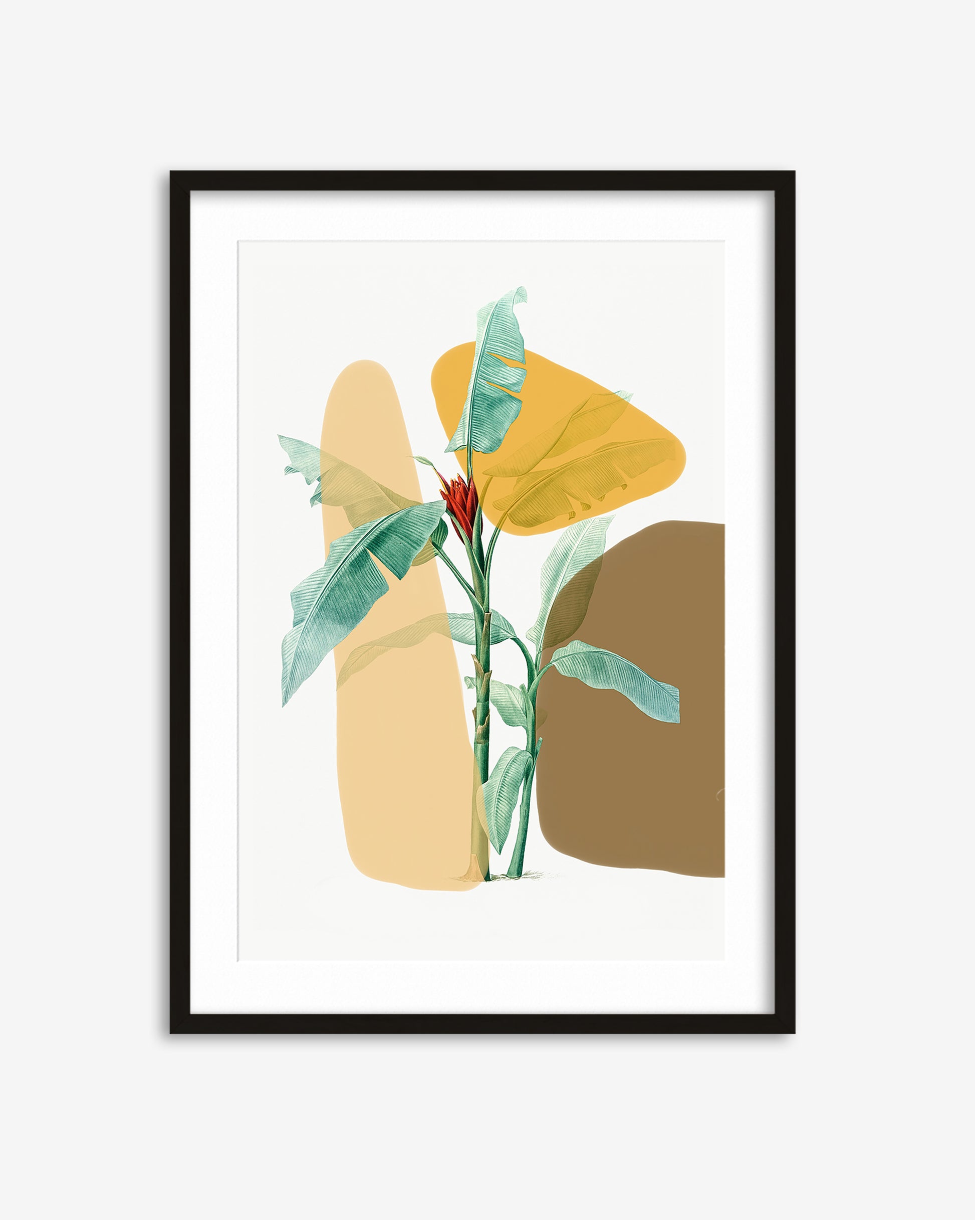 Framed artwork with abstract plant design on a white background