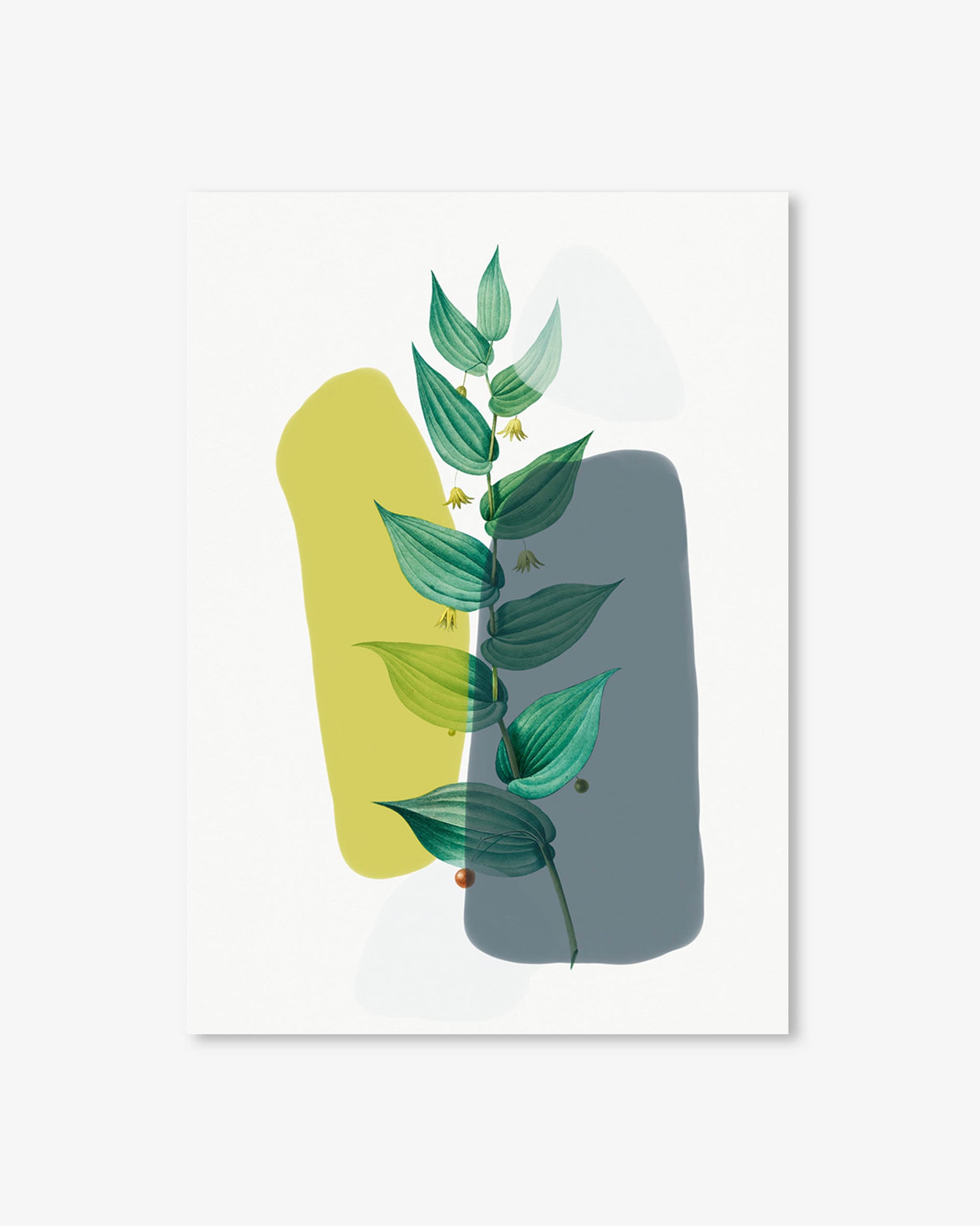 Art print with green leaves on a white background