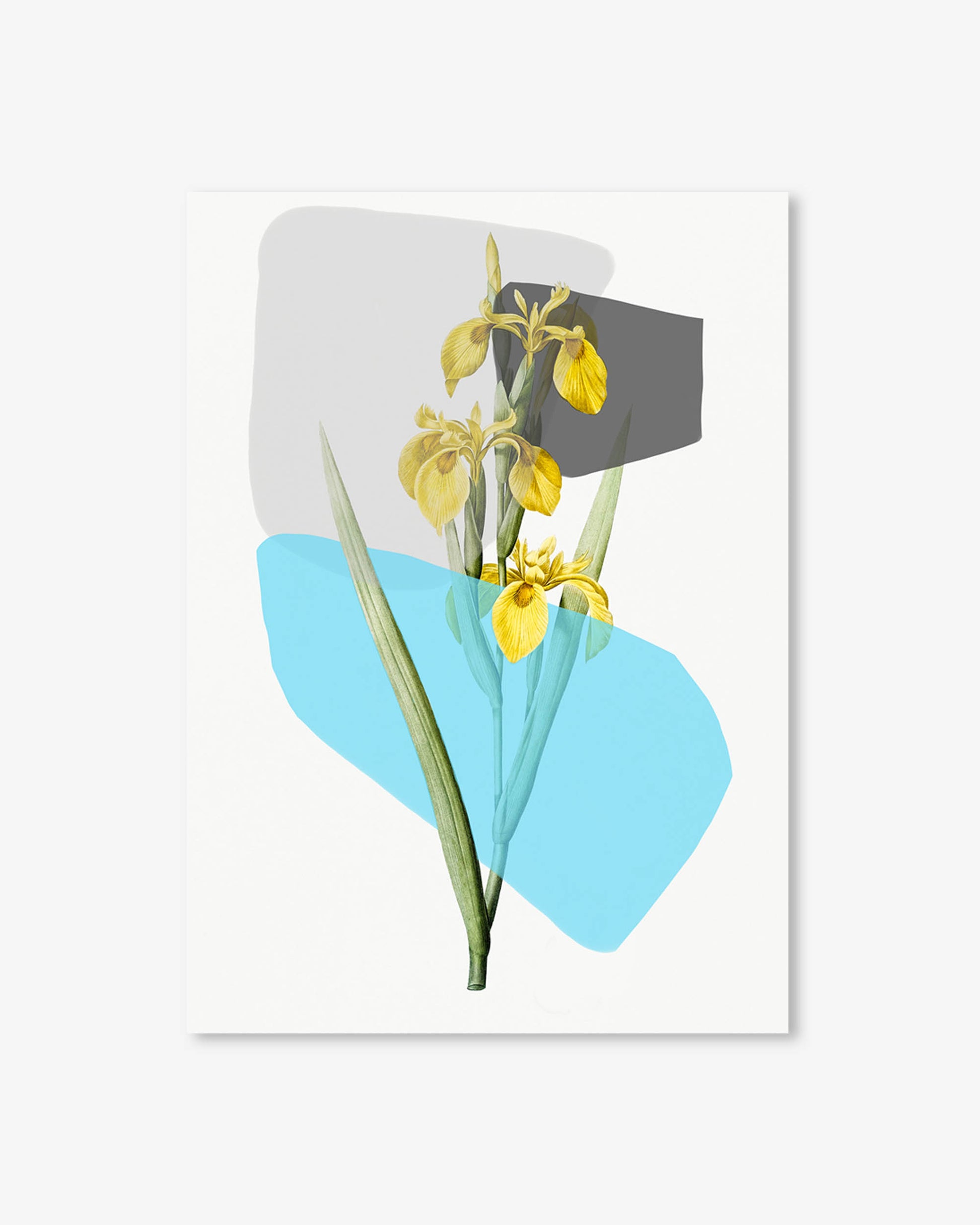 Art print with yellow flowers and blue abstract shapes on a white background