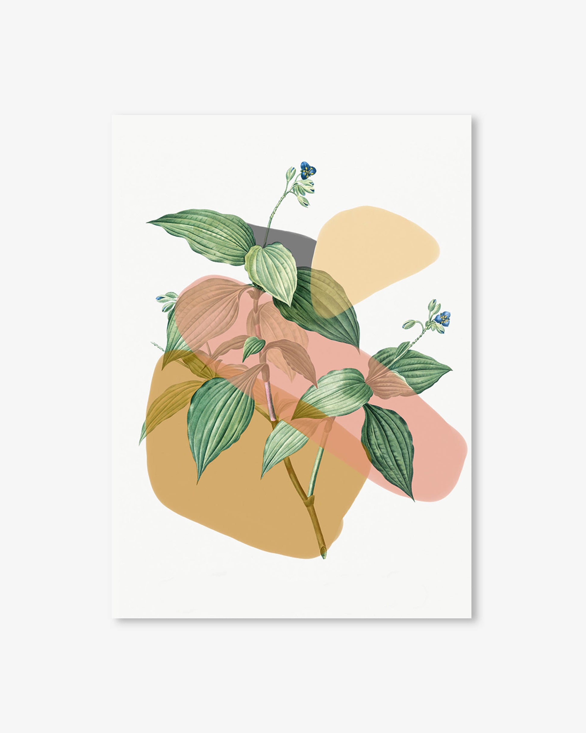 Art print with abstract shapes and green leaves on a white background