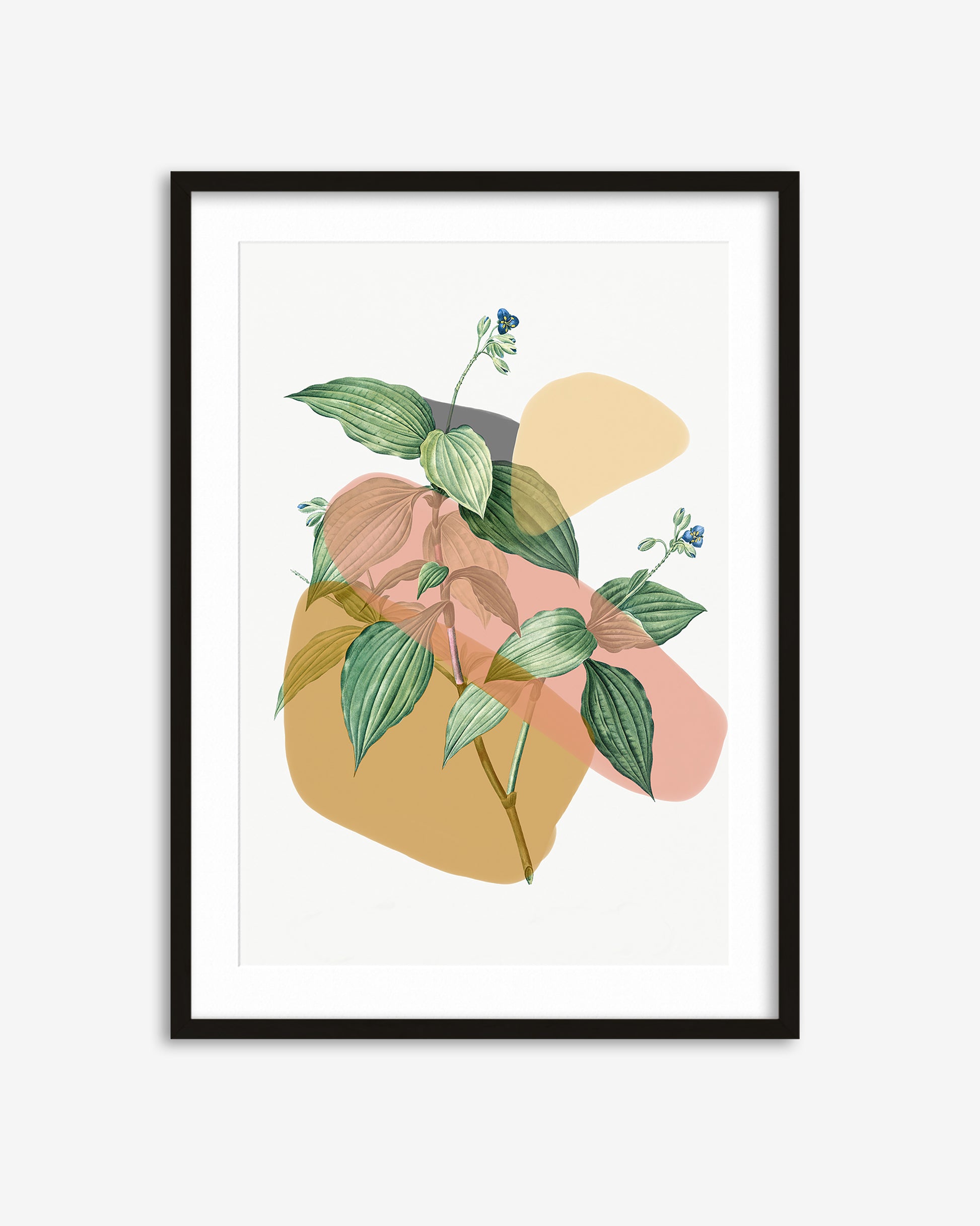 Framed artwork with abstract plant design on a white background