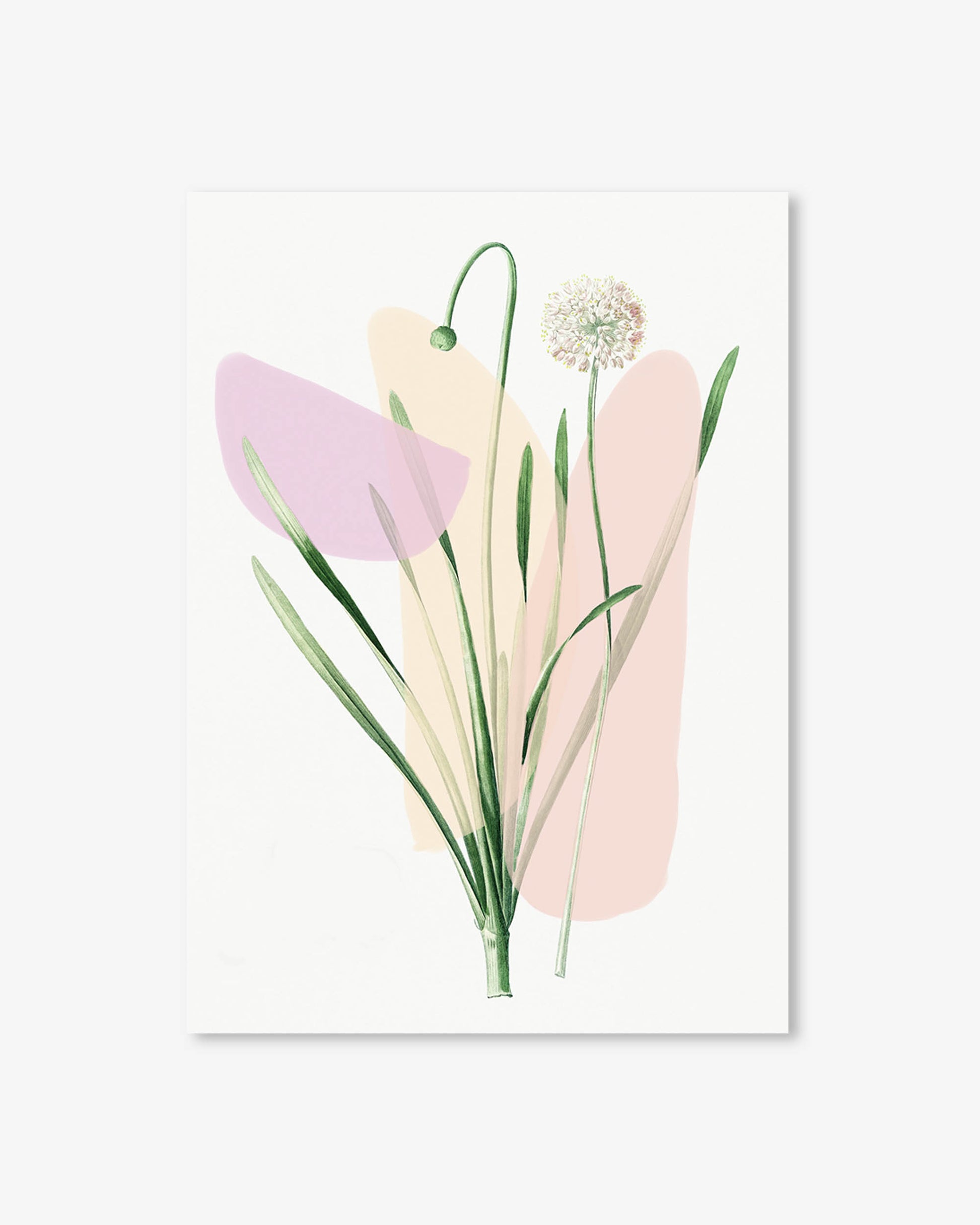 Art print with abstract shapes and a dandelion on a light gray background
