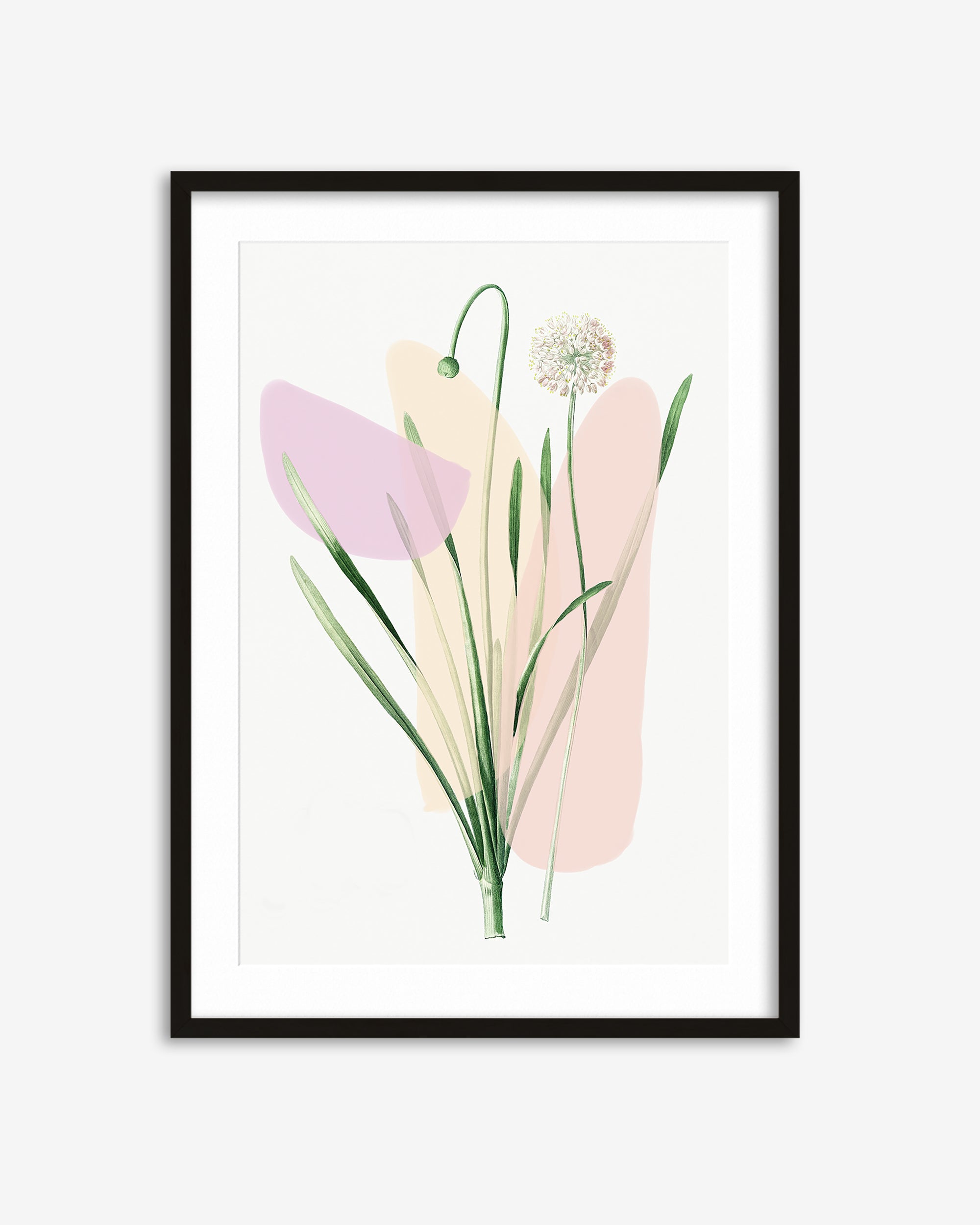 Botanical Vintage Blush Hues Art Print