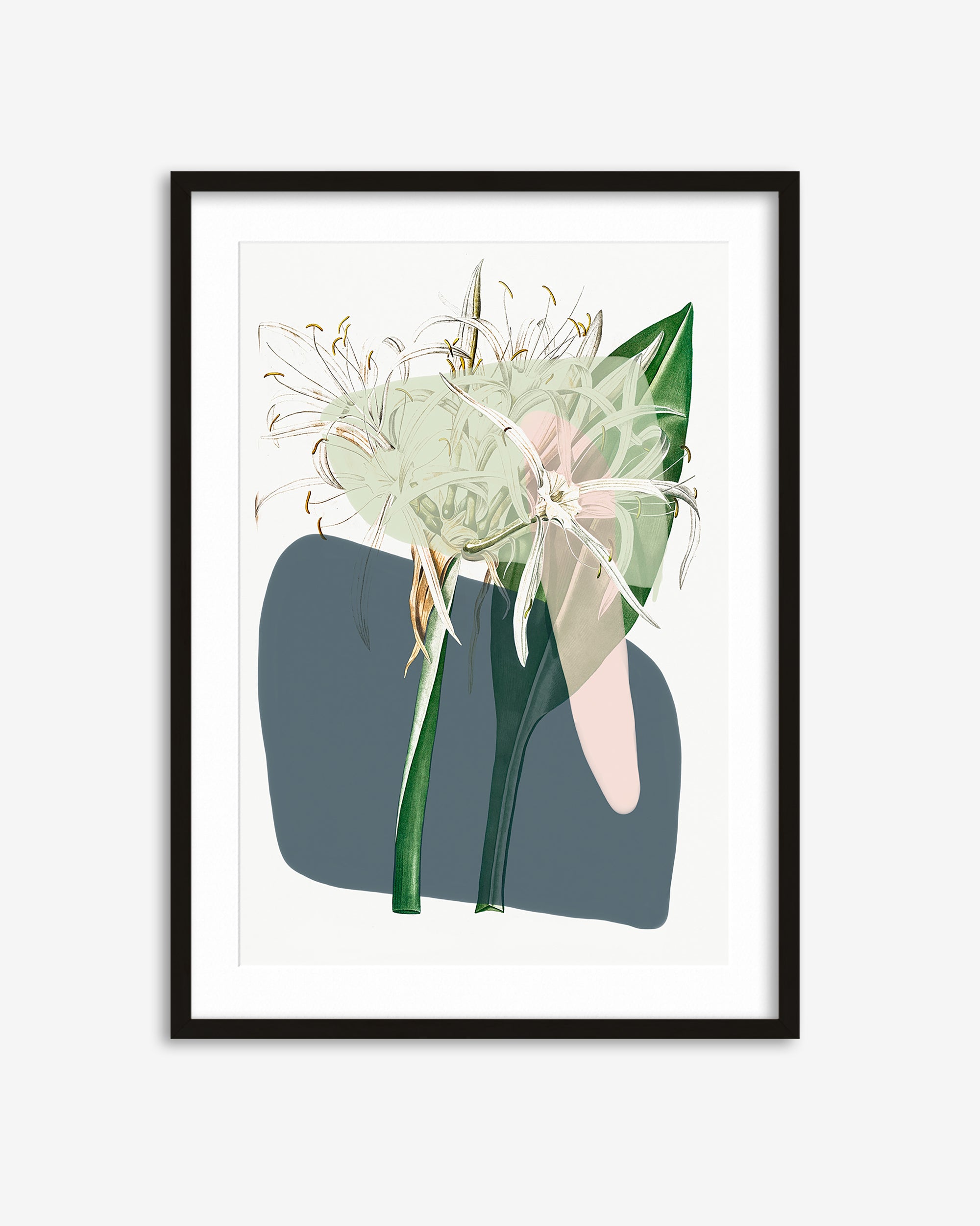 Botanical Vintage Spring Meadow Art Print