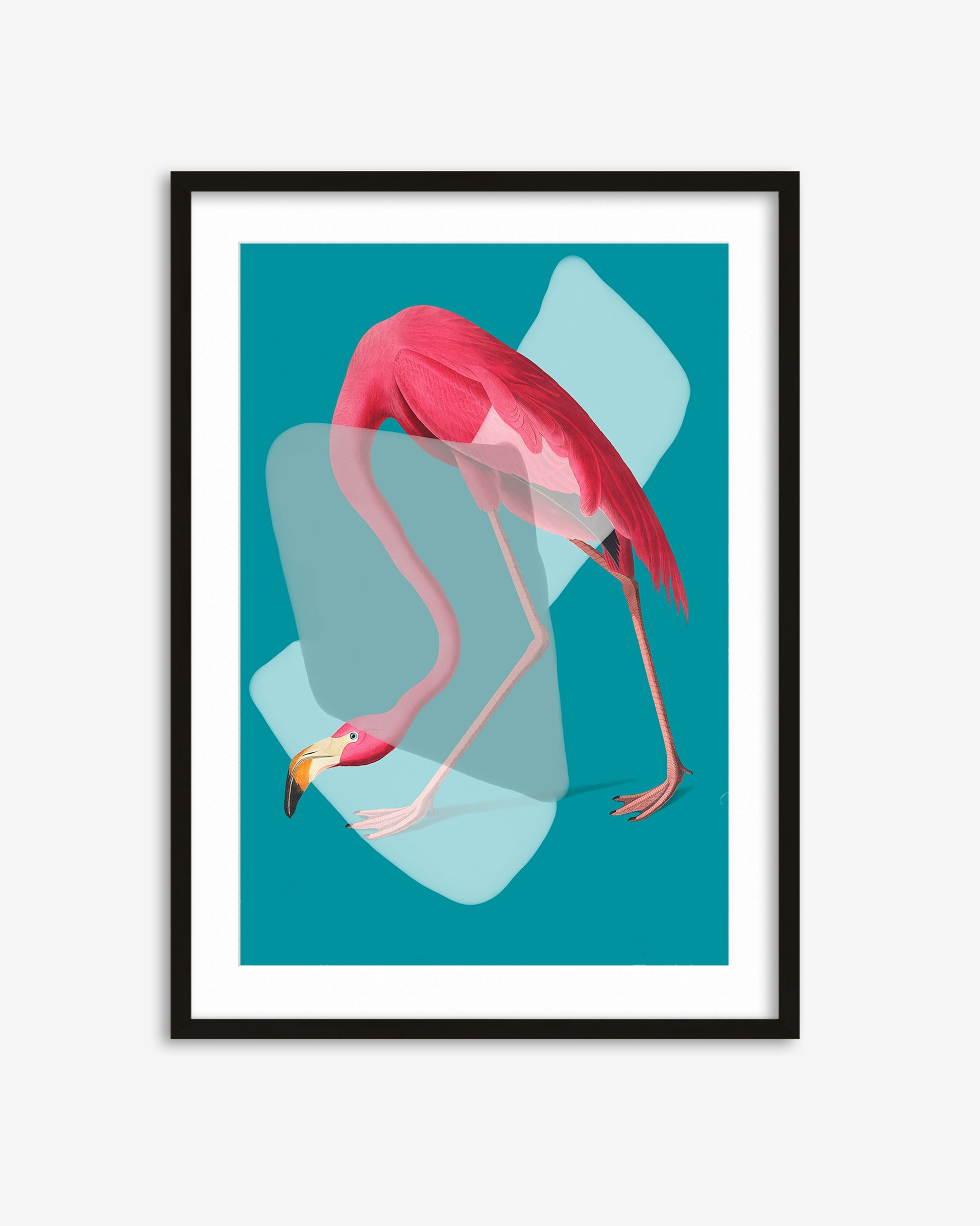 Framed artwork of a pink flamingo on a teal background