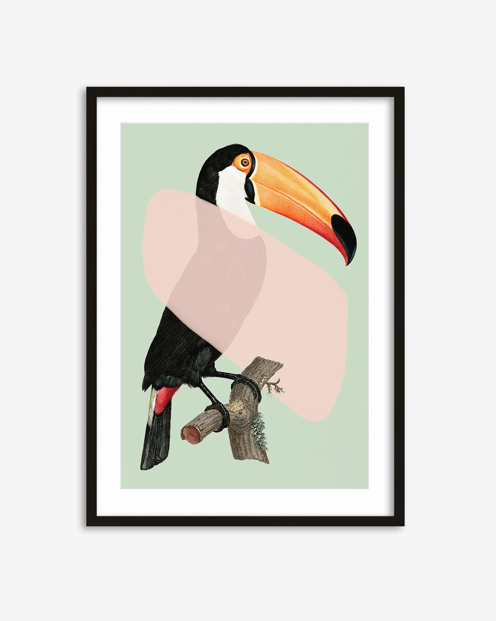 Mint Toucan In Blush Pop Art Print