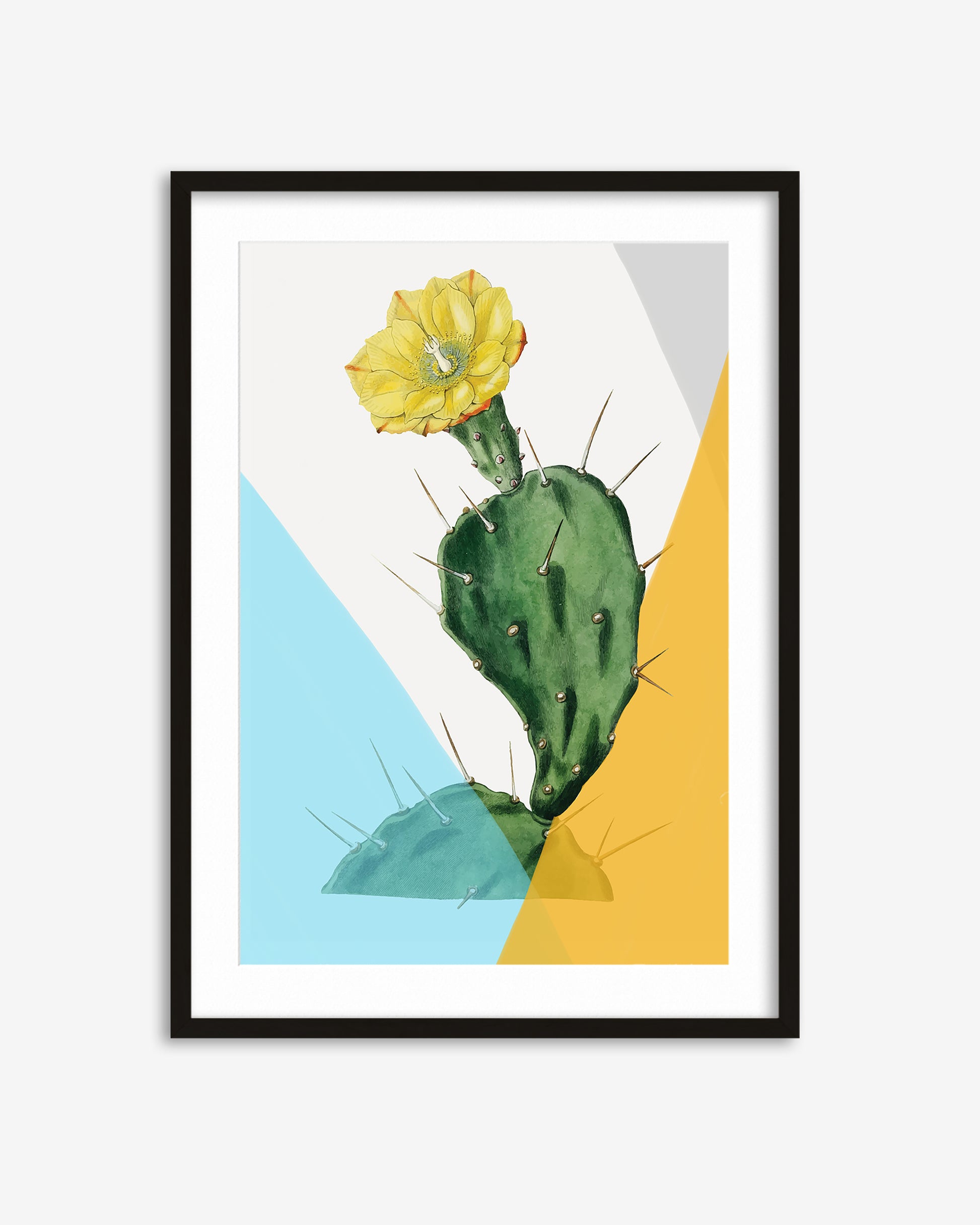 Framed artwork of a cactus with a yellow flower on a colorful geometric background.