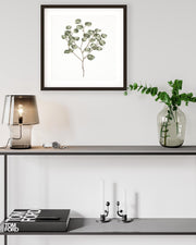 Botanical Branch Square Framed Art-Abstract House