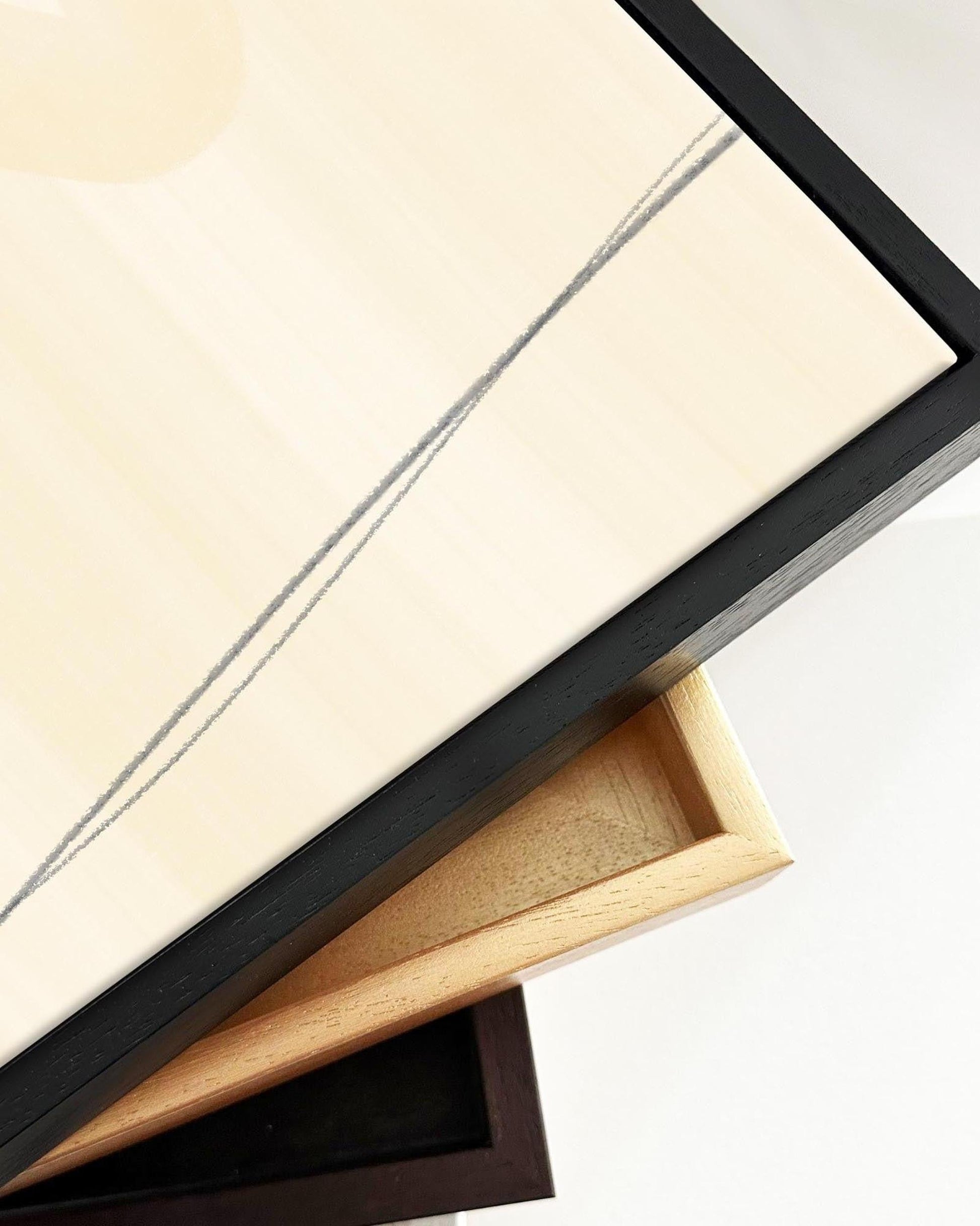 Grey Poppies In Field Framed Canvas-Abstract House