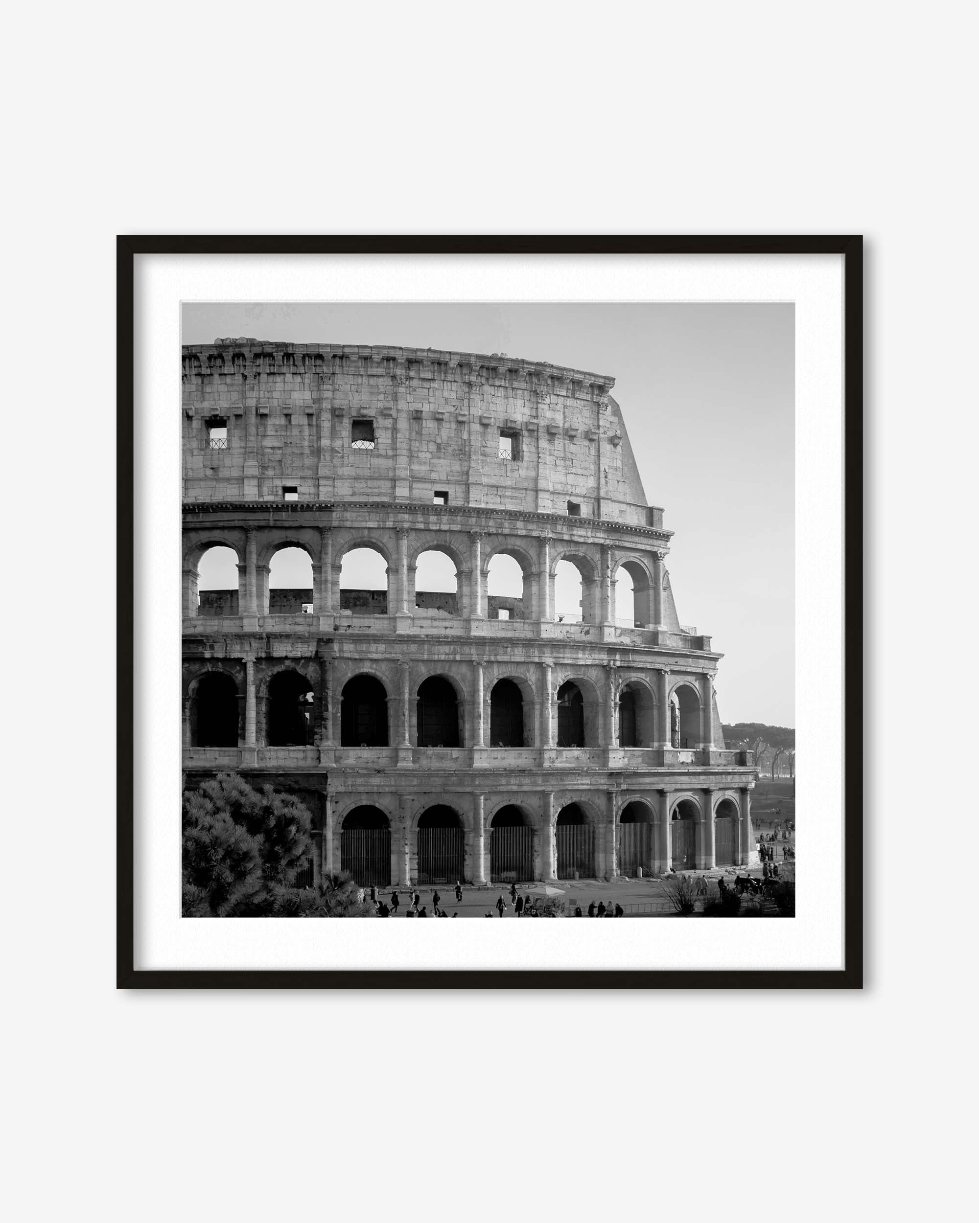 Colosseum Monochrome Framed Art Print