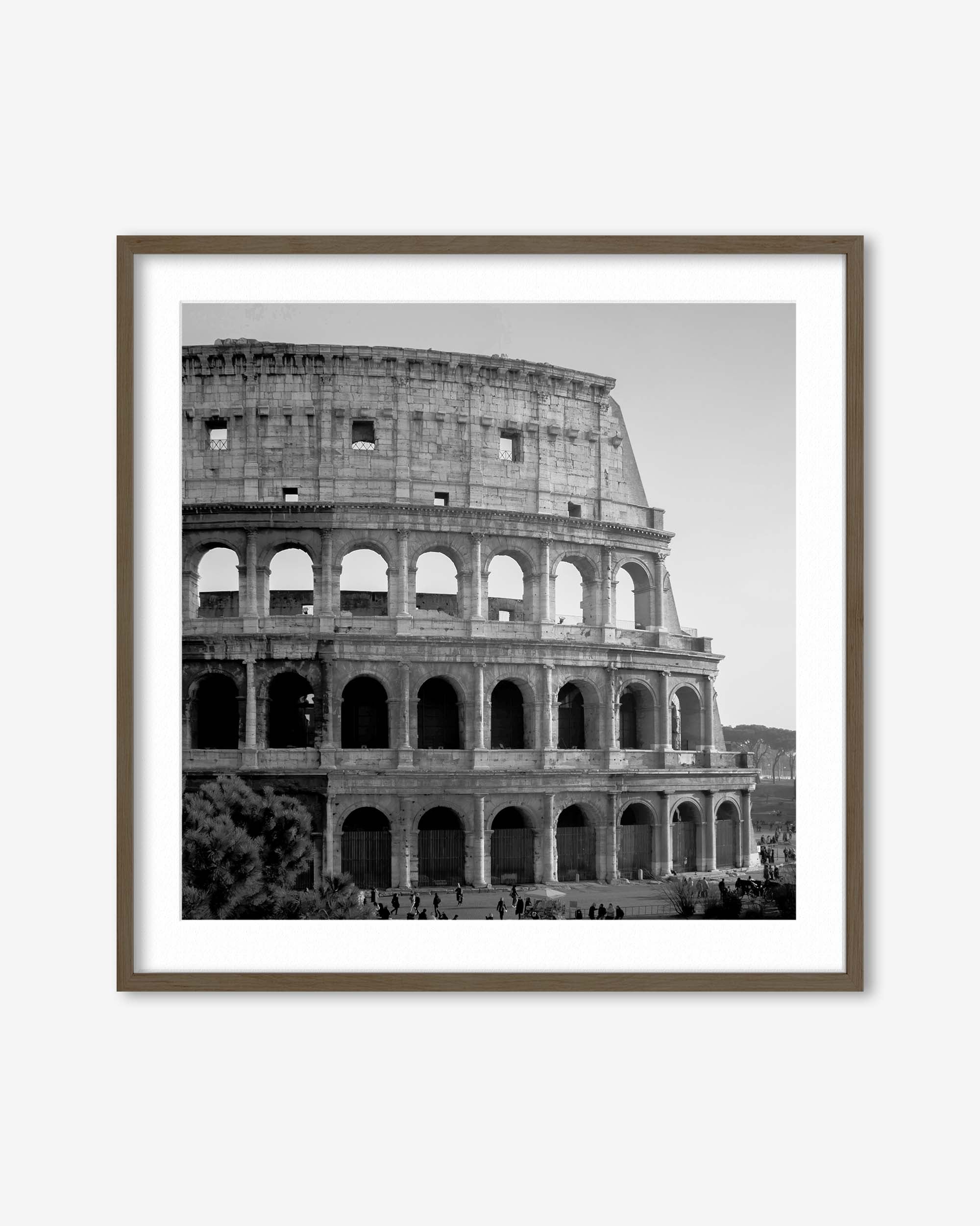 Colosseum Monochrome Framed Art Print
