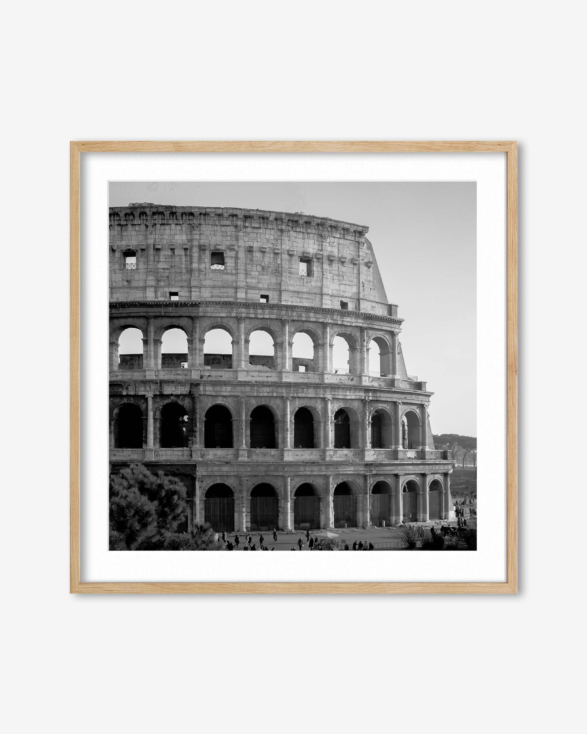 Colosseum Monochrome Framed Art Print