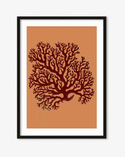Coral Illusions Art Print