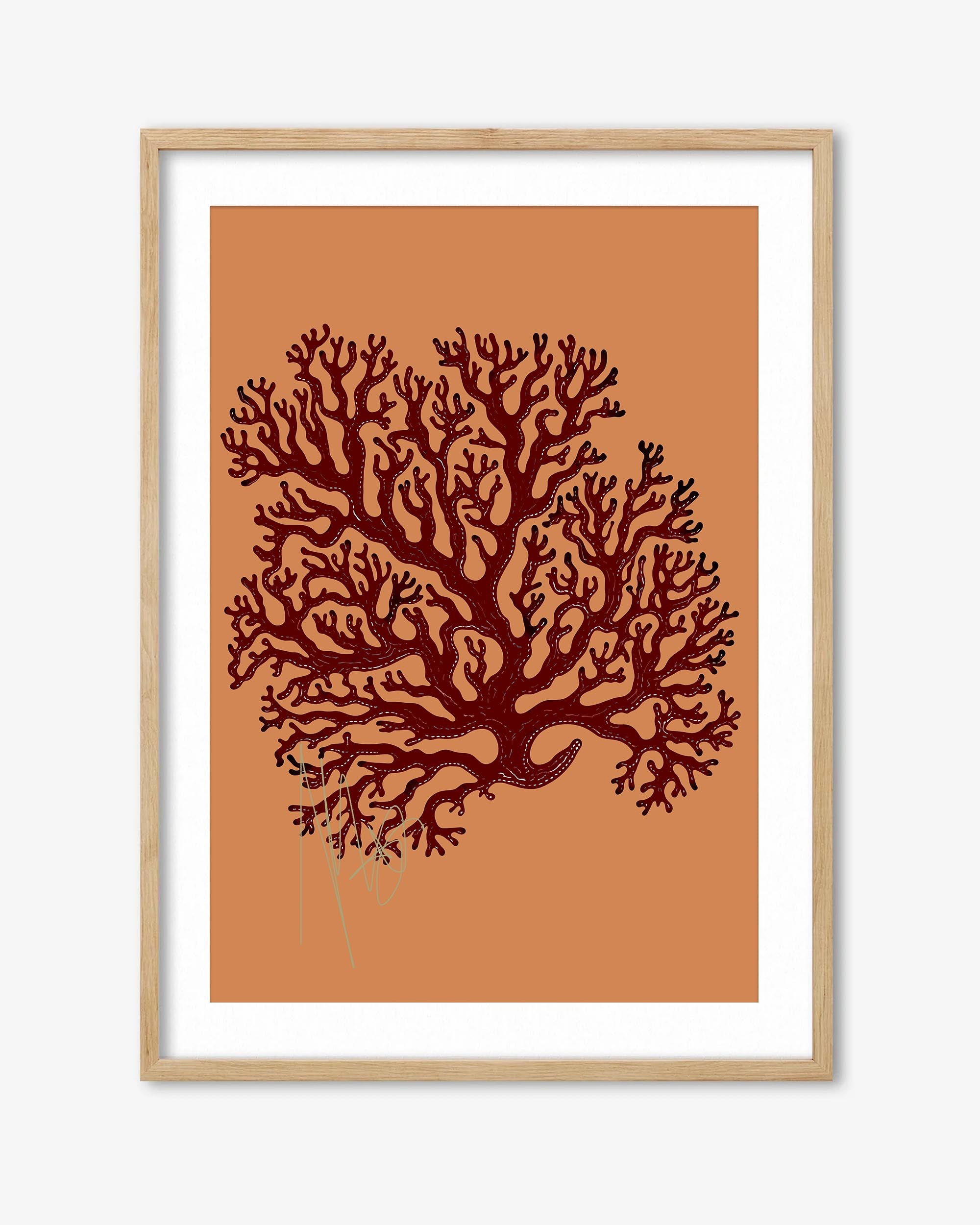 Coral Illusions Art Print