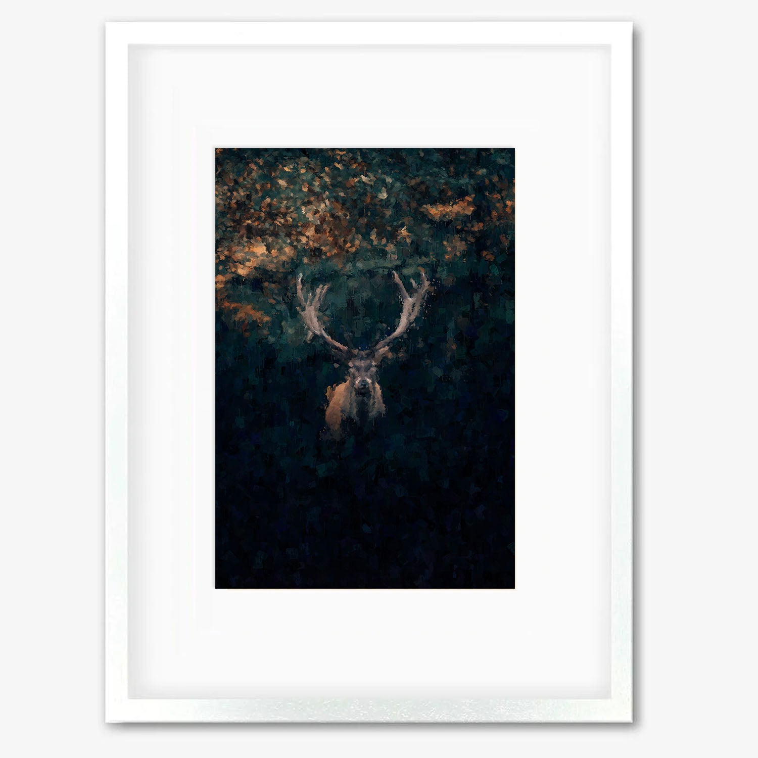 Red Deer Stag In Winter Framed Print