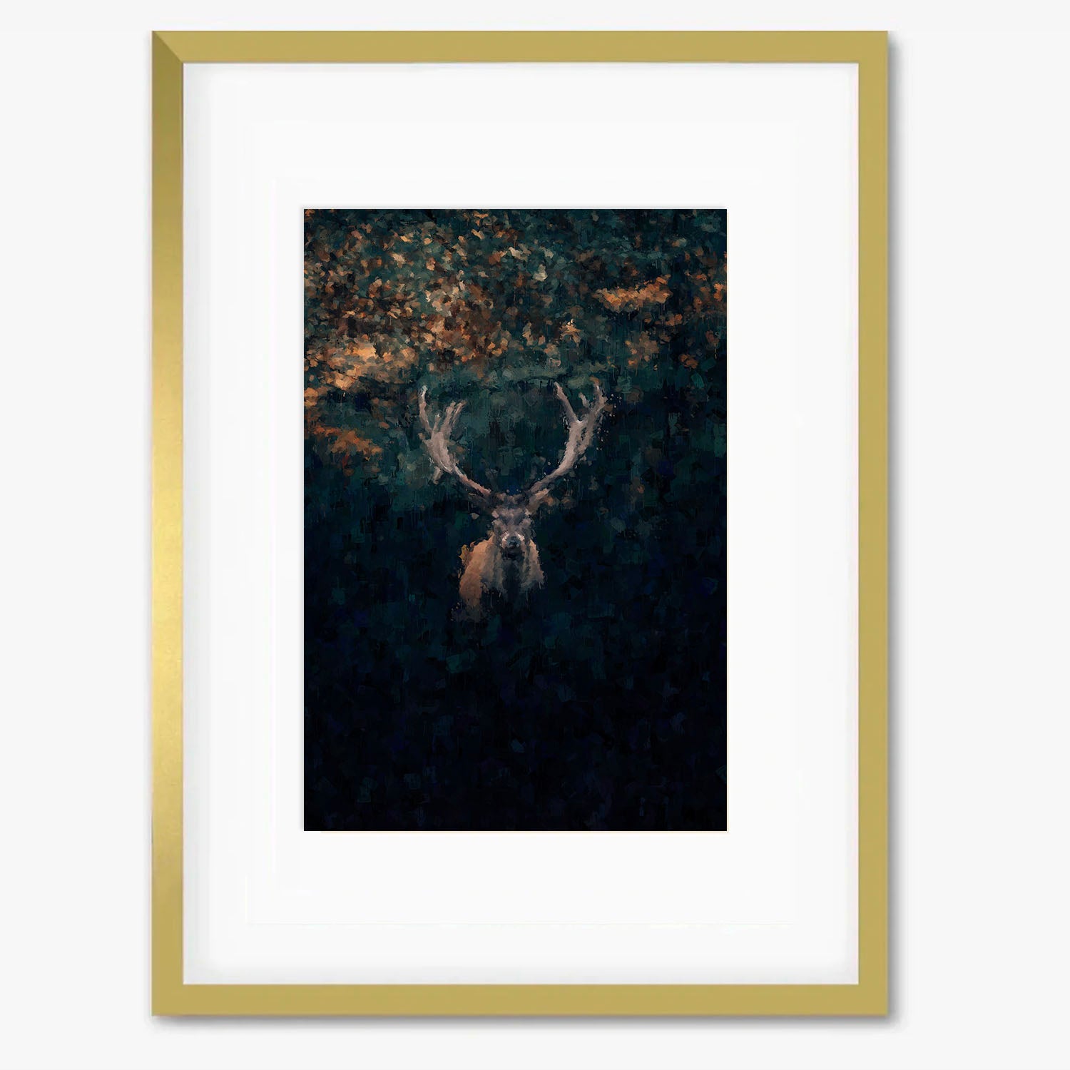 Red Deer Stag In Winter Framed Print