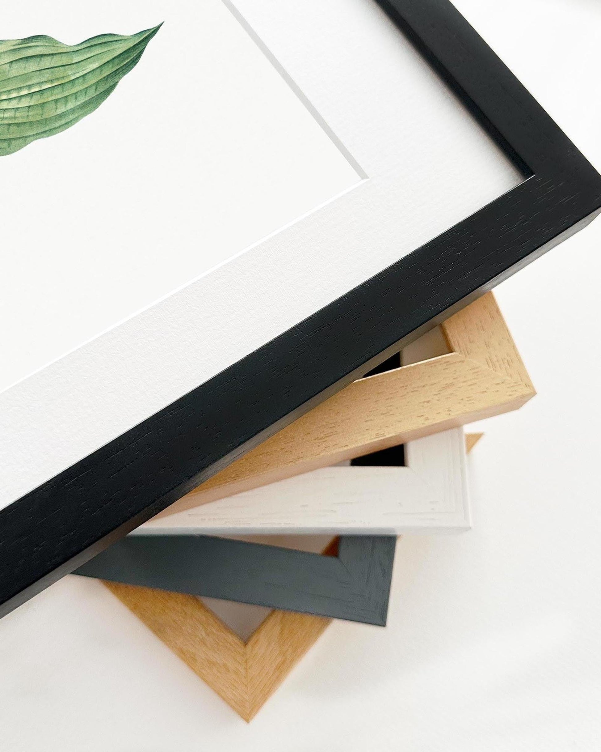 Collection of various photo frames on a white surface with a green leaf.