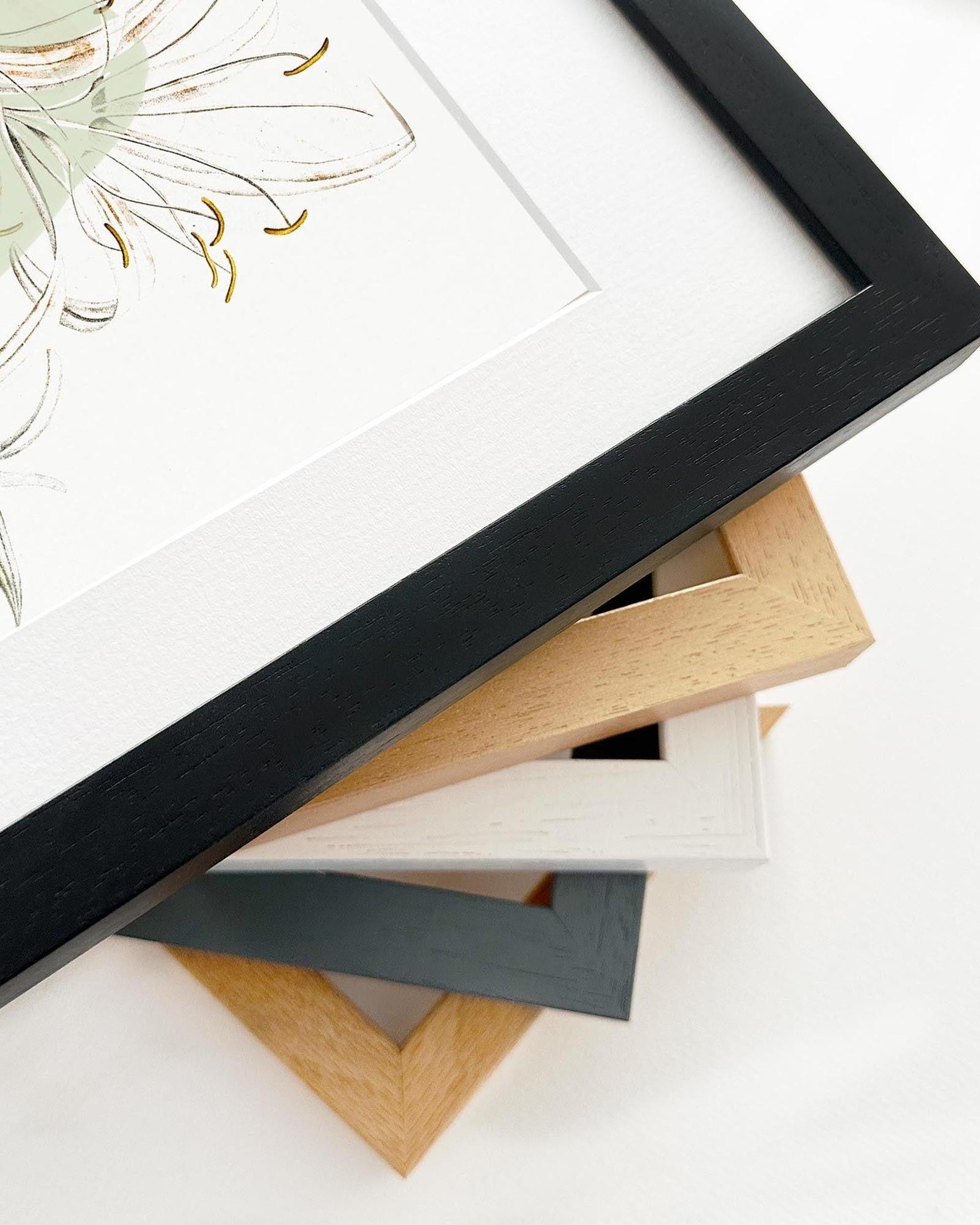 Collection of various photo frames on a white surface