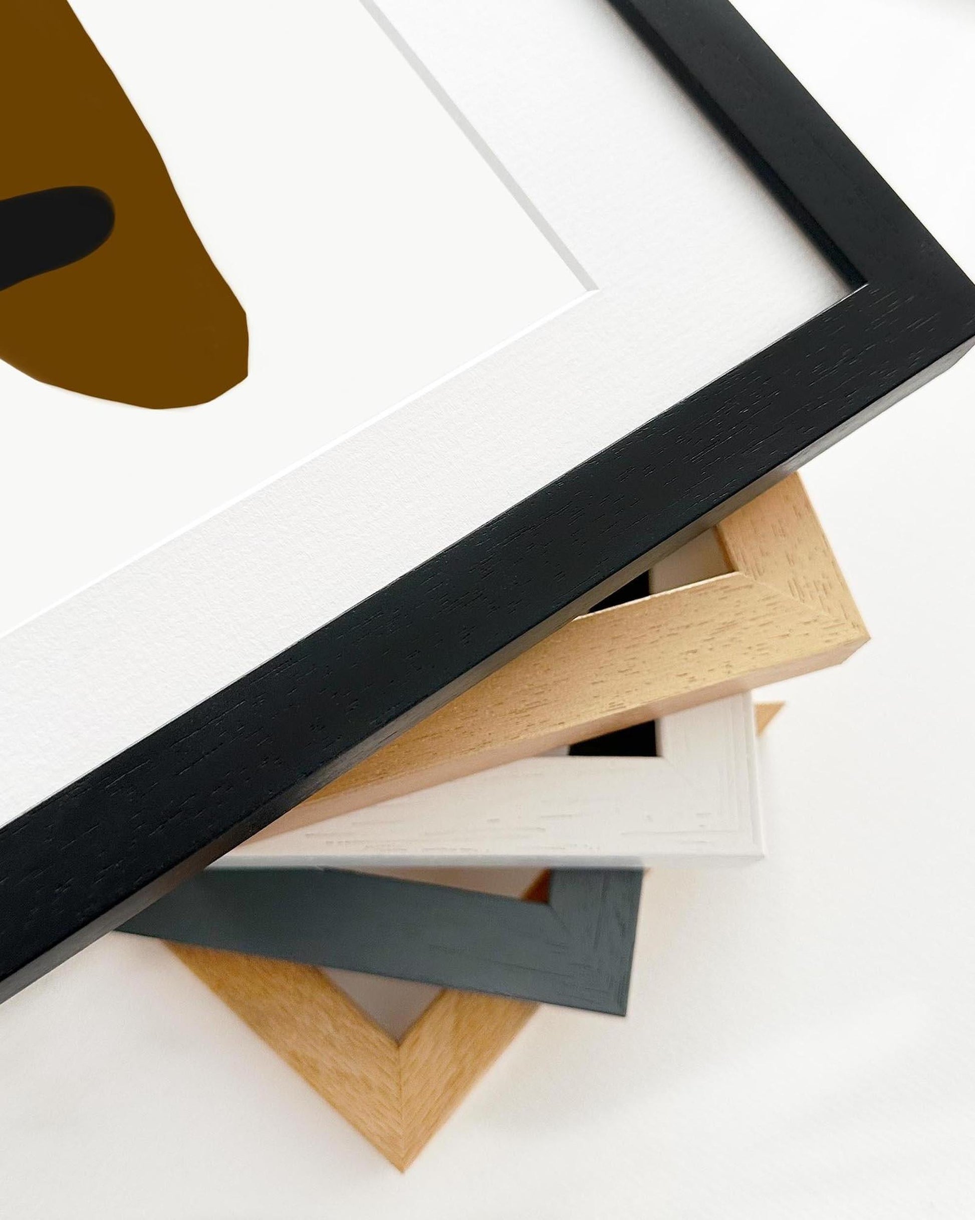 Collection of various photo frames on a white background