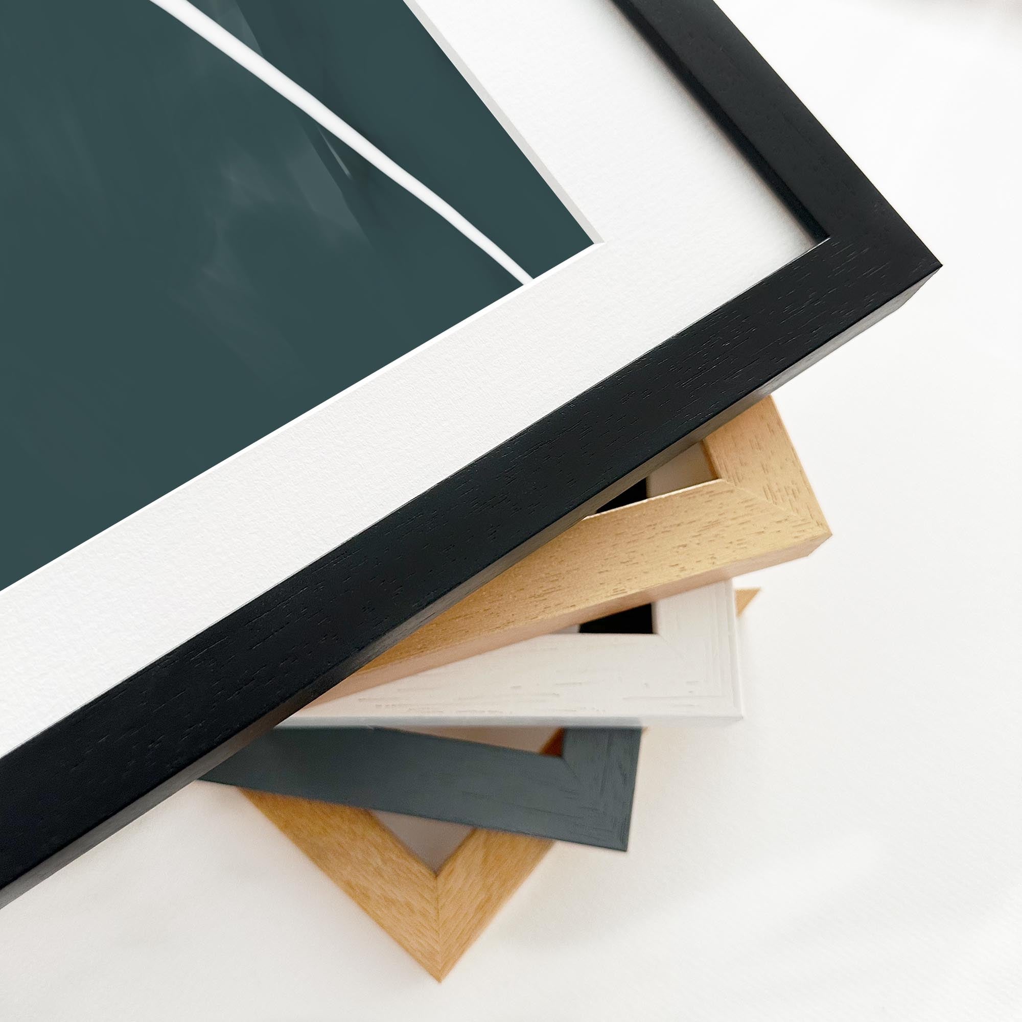 Organic Abstract Shapes Framed Art