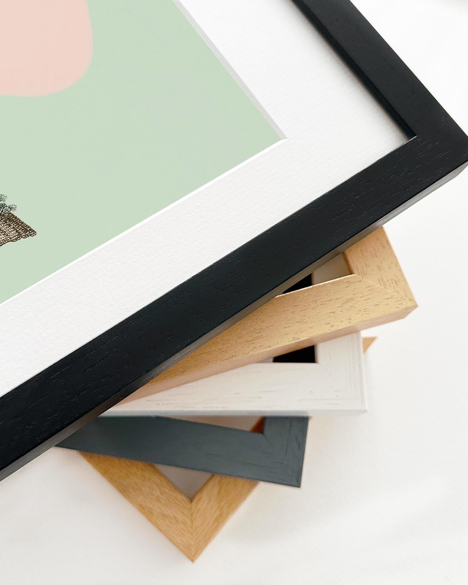 Collection of variously colored picture frames on a white surface