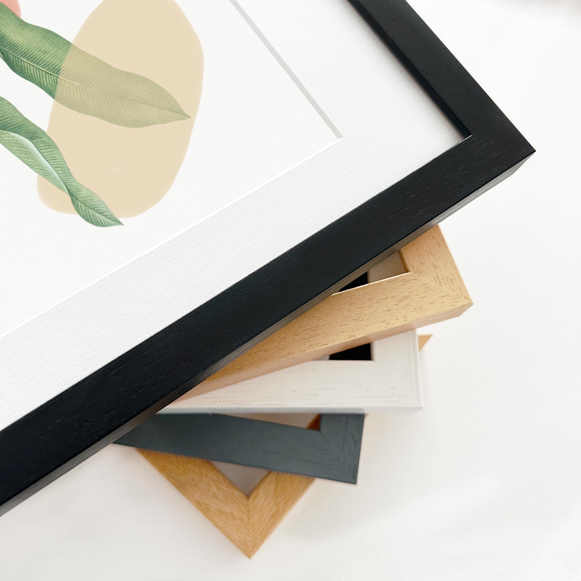 Botanical Illustration With Shapes Framed Art