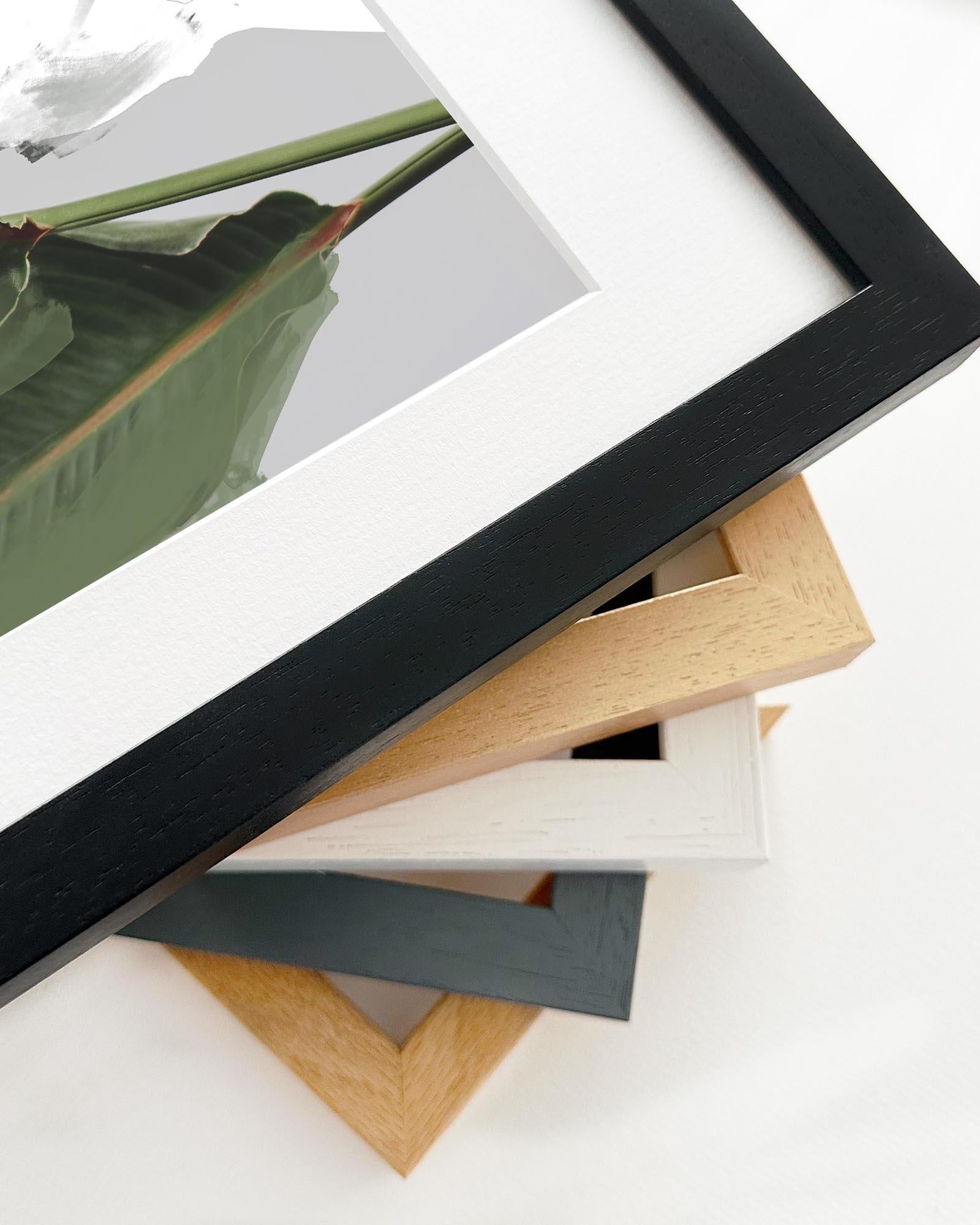 Botanical Abstract Art Print
