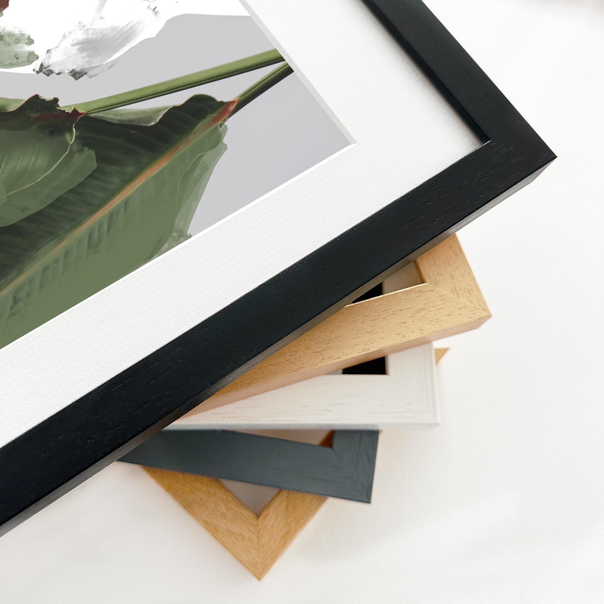 Botanical Abstract Framed Art