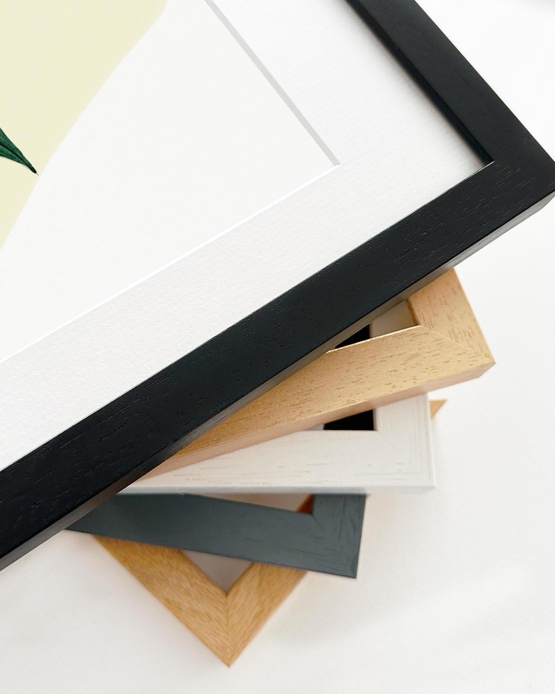 Collection of various photo frames on a white background