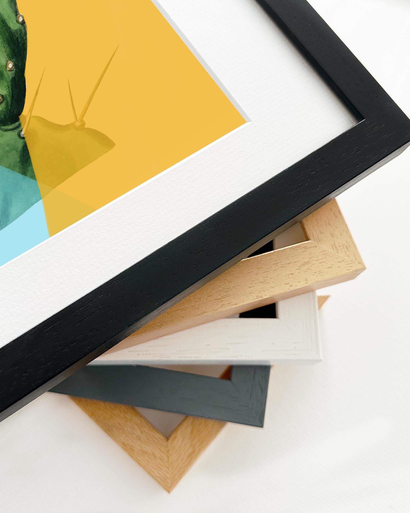 Collection of various photo frames on a white background