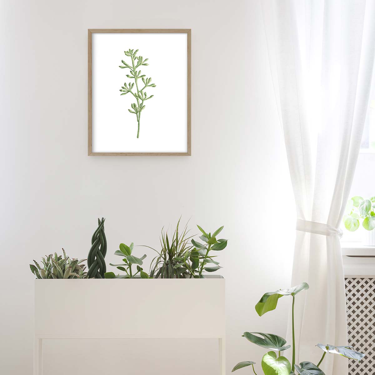 Pale Green Stem Art Print-Abstract House