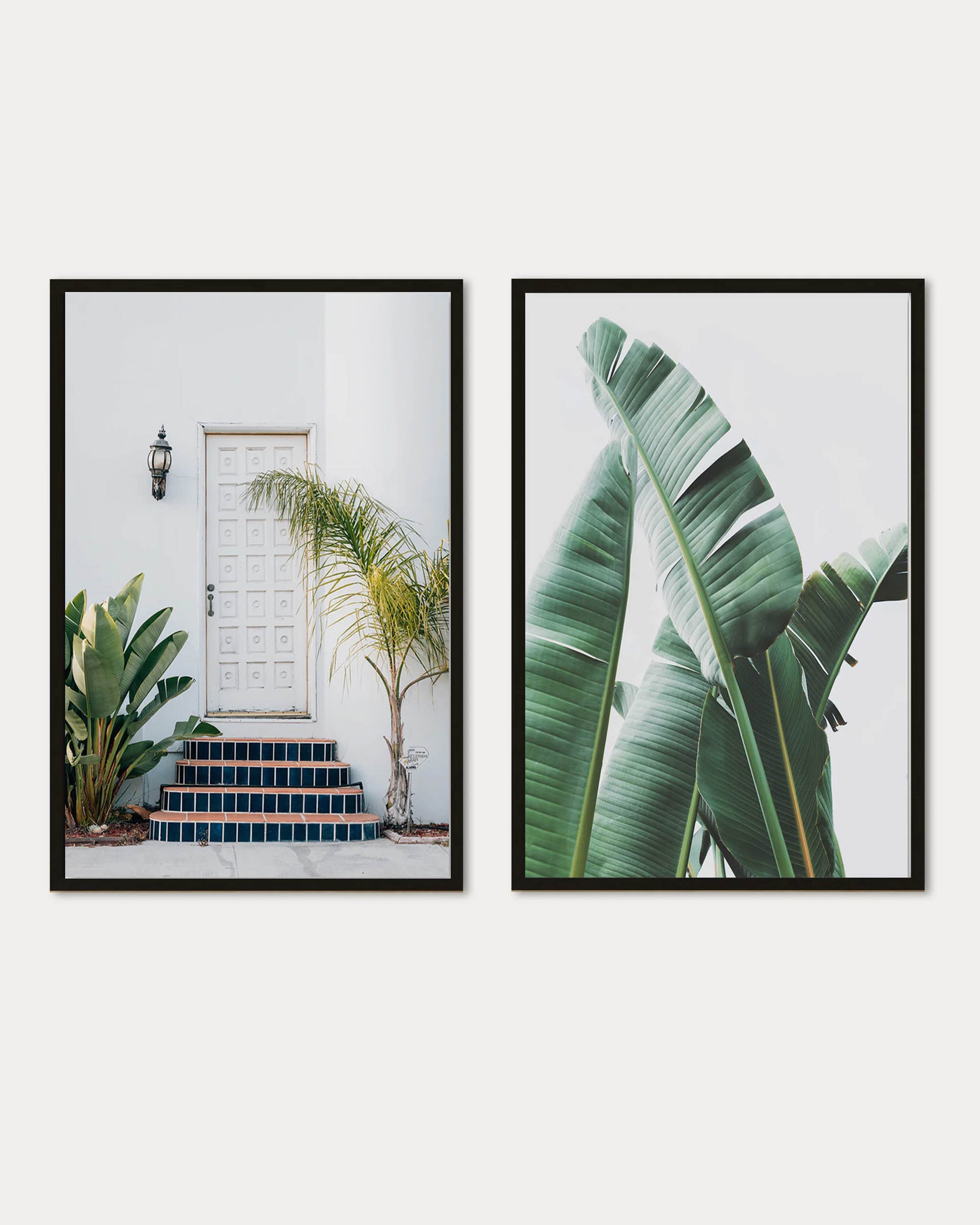 Two framed prints of tropical plants on a white background