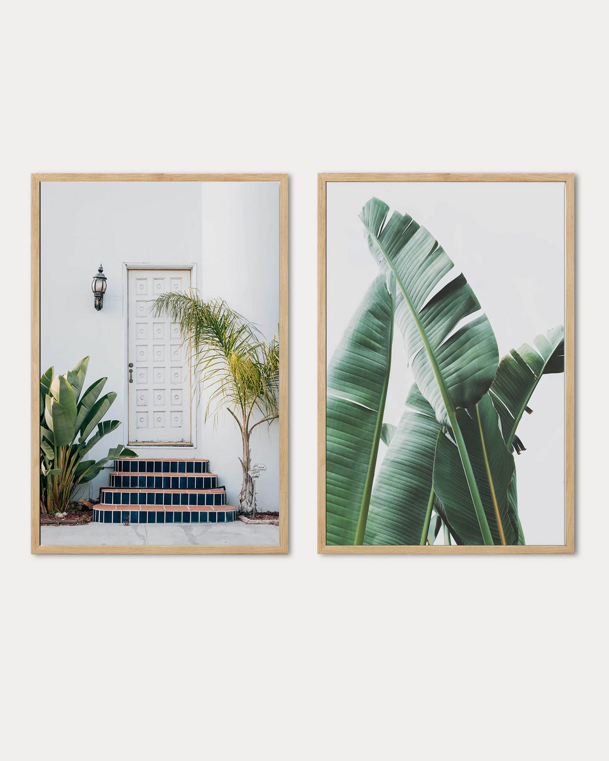 Two framed prints of tropical plants and a staircase on a white background