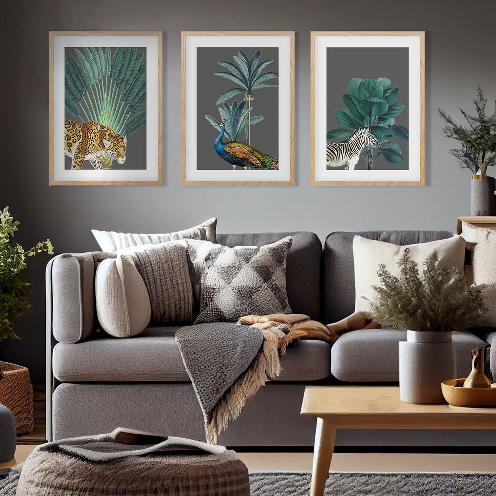 Tropical Jungle Animals - Print Set Of 3