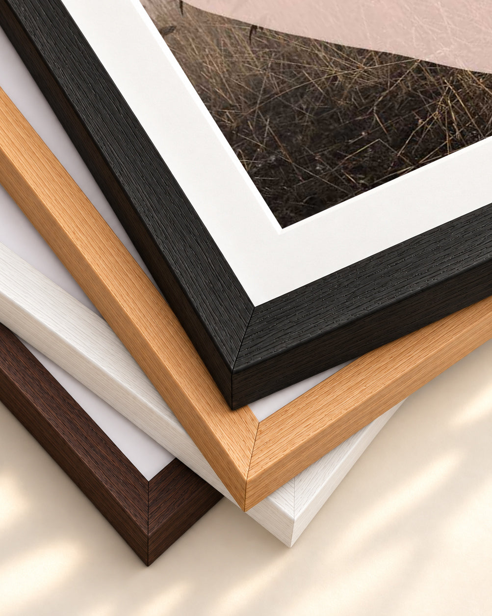Abstract Field With Colours 2 Art Print — framed print corner with 5 cm mount and bevel