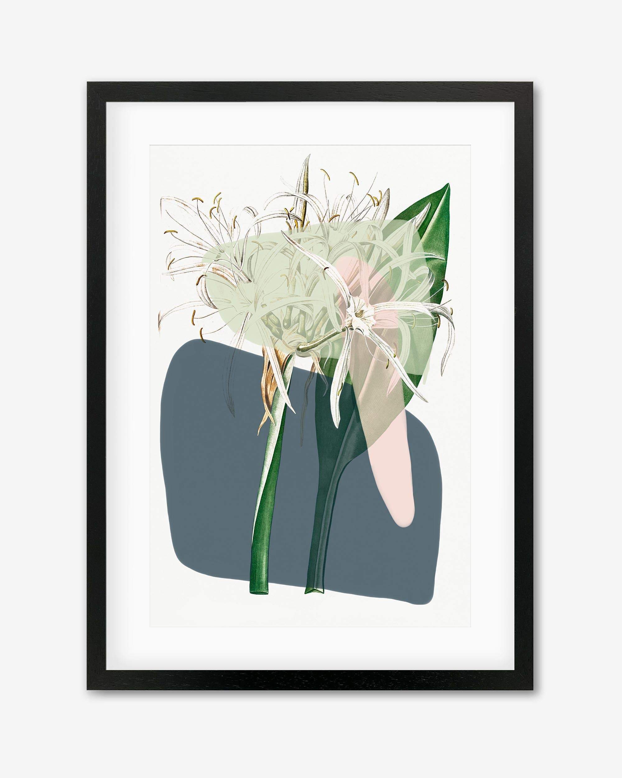 Botanical Vintage Spring Meadow Framed Art