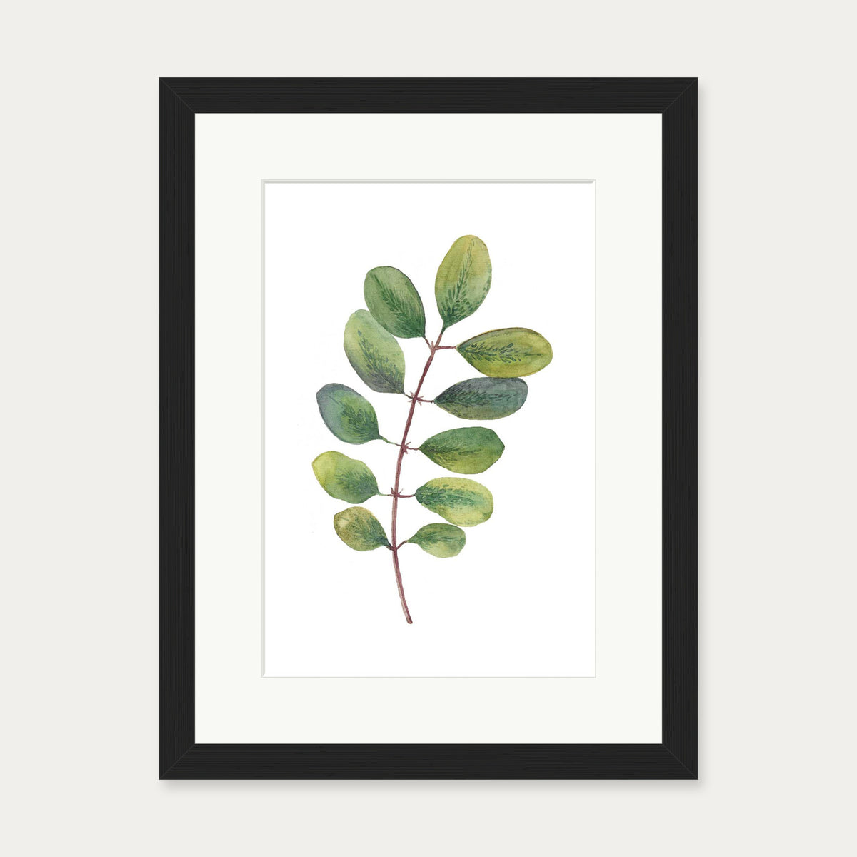 Acacia Watercolour Leaf Art Print — 30 x 40 cm — Black Frame