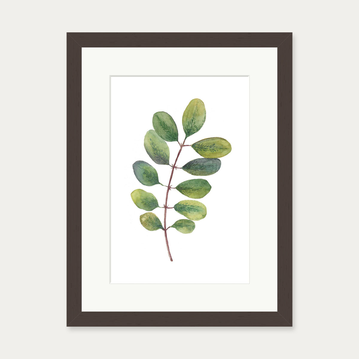 Acacia Watercolour Leaf Art Print — 30 x 40 cm — Brown Frame