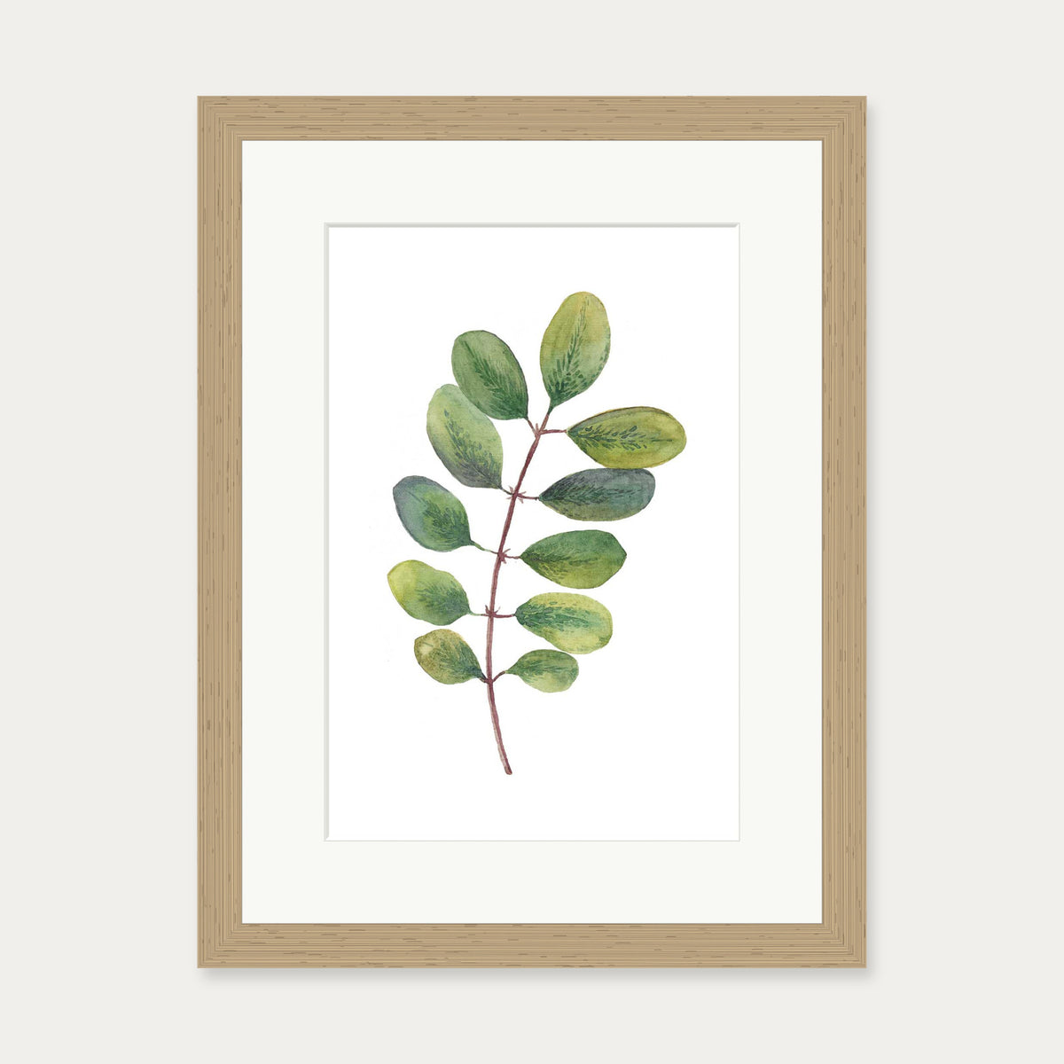 Acacia Watercolour Leaf Art Print — 30 x 40 cm — Oak Frame