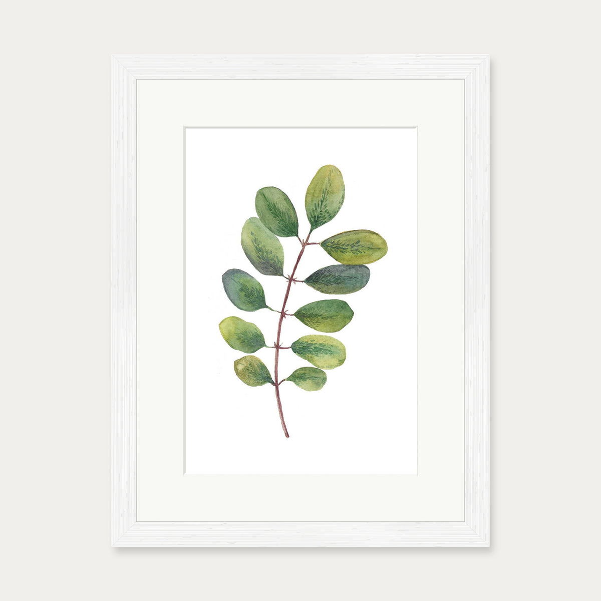 Acacia Watercolour Leaf Art Print — 30 x 40 cm — White Frame