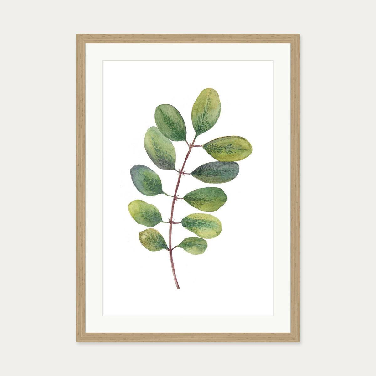 Acacia Watercolour Leaf Art Print — 50 x 70 cm — Oak Frame