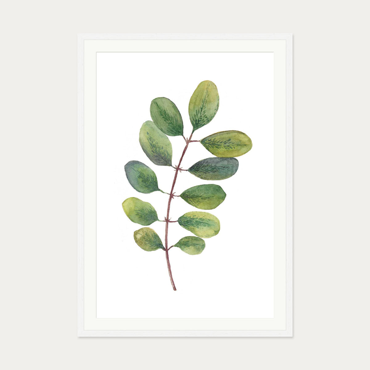 Acacia Watercolour Leaf Art Print — 70 x 100 cm — White Frame
