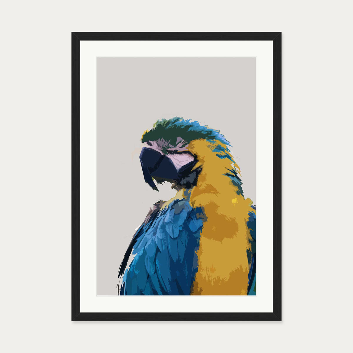 Parrot Illustrated Art Print — 50 x 70 cm — Black Frame