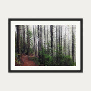 A Path Through The Forest — 50 x 70 cm — Black Frame
